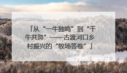 从“一牛独鸣”到“千牛共舞”——古渡河口乡村振兴的“牧场答卷”