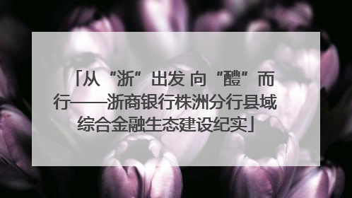 从“浙”出发 向“醴”而行——浙商银行株洲分行县域综合金融生态建设纪实