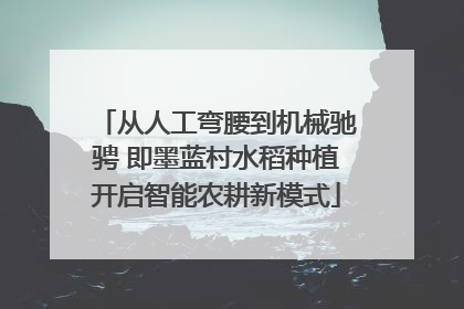 从人工弯腰到机械驰骋 即墨蓝村水稻种植开启智能农耕新模式