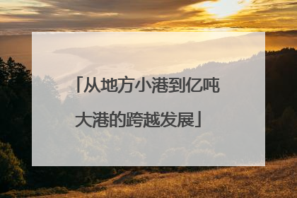 从地方小港到亿吨大港的跨越发展