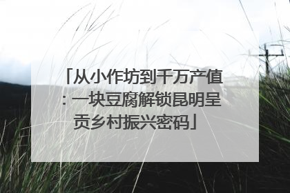 从小作坊到千万产值：一块豆腐解锁昆明呈贡乡村振兴密码