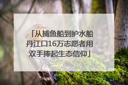从捕鱼船到护水船 丹江口16万志愿者用双手捧起生态信仰