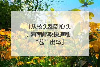 从枝头甜到心头，海南邮政快速助“荔”出岛