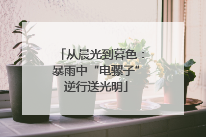 从晨光到暮色：暴雨中“电骡子”逆行送光明