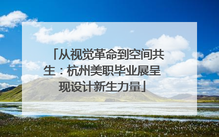 从视觉革命到空间共生：杭州美职毕业展呈现设计新生力量
