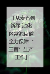 从麦香到新绿 沾化区富源街道全力保障“三夏”生产工作