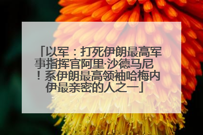 以军：打死伊朗最高军事指挥官阿里·沙德马尼！系伊朗最高领袖哈梅内伊最亲密的人之一
