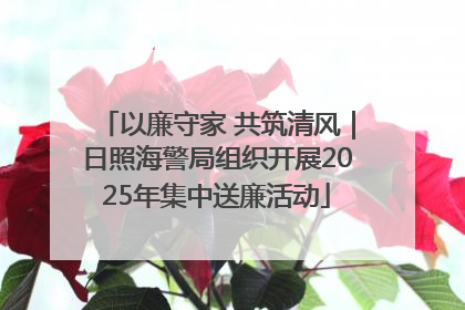 以廉守家 共筑清风｜日照海警局组织开展2025年集中送廉活动