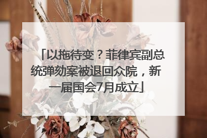 以拖待变？菲律宾副总统弹劾案被退回众院，新一届国会7月成立