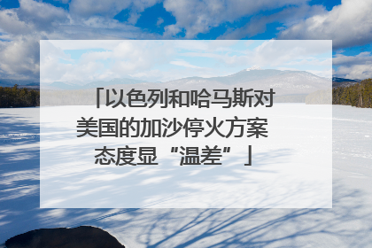 以色列和哈马斯对美国的加沙停火方案态度显“温差”