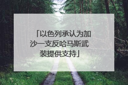 以色列承认为加沙一支反哈马斯武装提供支持