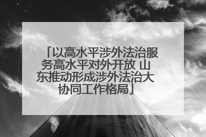 以高水平涉外法治服务高水平对外开放 山东推动形成涉外法治大协同工作格局