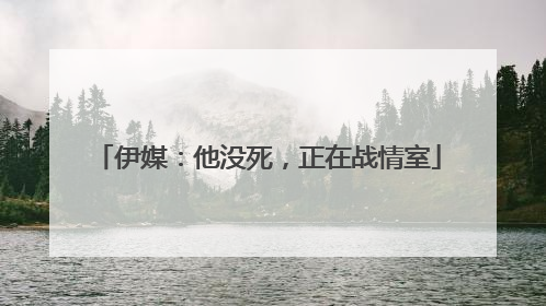 伊媒：他没死，正在战情室
