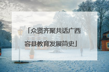 众贤齐聚共话广西容县教育发展简史