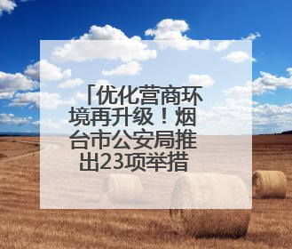 优化营商环境再升级！烟台市公安局推出23项举措，护航348个重点项目