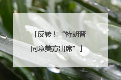 反转！“特朗普同意美方出席”