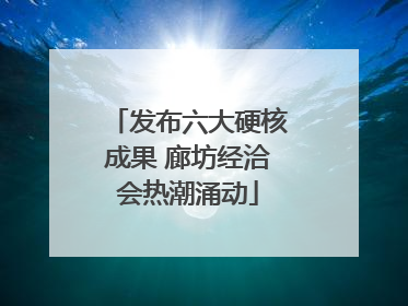 发布六大硬核成果 廊坊经洽会热潮涌动