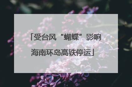 受台风“蝴蝶”影响 海南环岛高铁停运