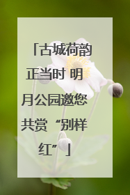 古城荷韵正当时 明月公园邀您共赏“别样红”