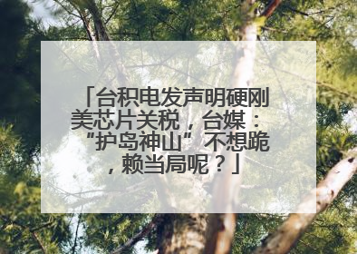 台积电发声明硬刚美芯片关税，台媒：“护岛神山”不想跪，赖当局呢？