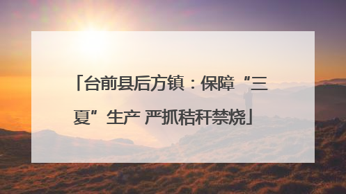 台前县后方镇：保障“三夏”生产 严抓秸秆禁烧