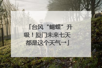 台风“蝴蝶”升级！厦门未来七天都是这个天气→
