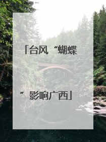 台风“蝴蝶”影响广西