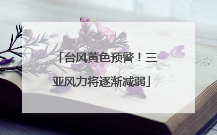 台风黄色预警！三亚风力将逐渐减弱
