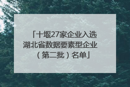 十堰27家企业入选湖北省数据要素型企业（第二批）名单
