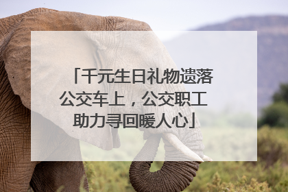 千元生日礼物遗落公交车上，公交职工助力寻回暖人心