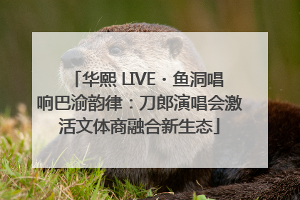 华熙 LIVE・鱼洞唱响巴渝韵律：刀郎演唱会激活文体商融合新生态