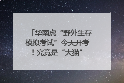 华南虎“野外生存模拟考试”今天开考！究竟是“大猫” 还是顶级猎食者？