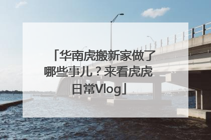 华南虎搬新家做了哪些事儿？来看虎虎日常Vlog