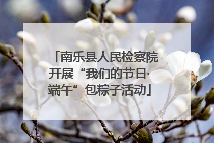 南乐县人民检察院开展“我们的节日·端午”包粽子活动