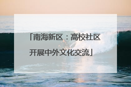 南海新区：高校社区开展中外文化交流