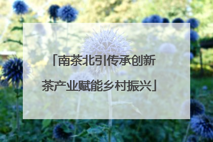 南茶北引传承创新 茶产业赋能乡村振兴