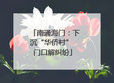 南通海门：下沉“华侨村” 门口解纠纷