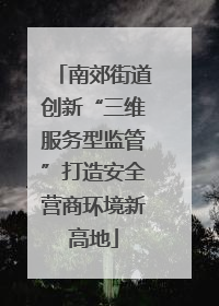 南郊街道创新“三维服务型监管”打造安全营商环境新高地