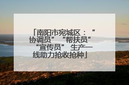 南阳市宛城区：“协调员”“帮扶员”“宣传员” 生产一线助力抢收抢种