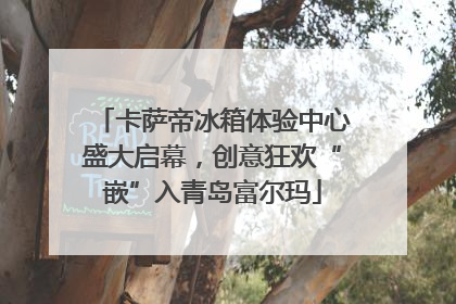 卡萨帝冰箱体验中心盛大启幕，创意狂欢“嵌”入青岛富尔玛