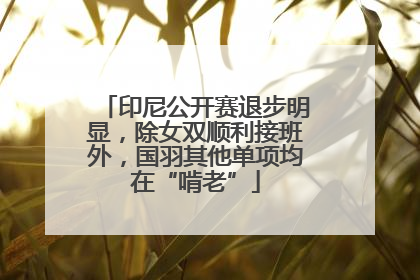 印尼公开赛退步明显，除女双顺利接班外，国羽其他单项均在“啃老”