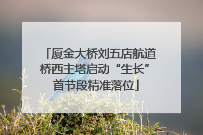 厦金大桥刘五店航道桥西主塔启动“生长” 首节段精准落位