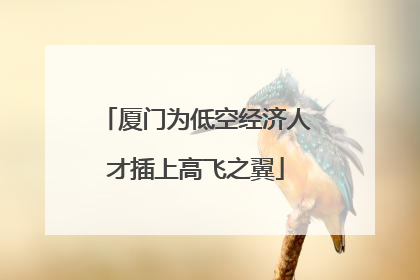厦门为低空经济人才插上高飞之翼