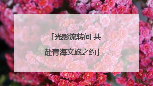 光影流转间 共赴青海文旅之约