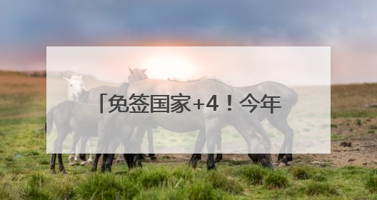 免签国家+4！今年免签入境杭州外国人已超11.6万人次
