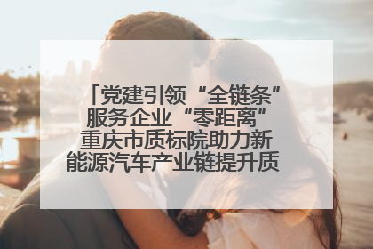 党建引领“全链条” 服务企业“零距离” 重庆市质标院助力新能源汽车产业链提升质量管理水平