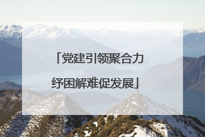 党建引领聚合力 纾困解难促发展