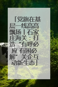 党旗在基层一线高高飘扬丨石家庄海关：打造“有呼必应 有困必解”关企互动新生态