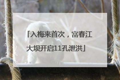 入梅来首次，富春江大坝开启11孔泄洪