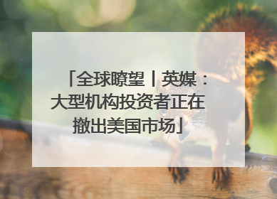 全球瞭望丨英媒：大型机构投资者正在撤出美国市场